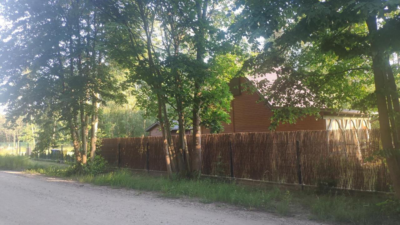 Uroczy Drewniany Domek W Charzykowach Charzykowy Zewnętrze zdjęcie